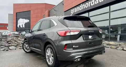 Annonce FORD KUGA Hybride 2022 d'occasion 