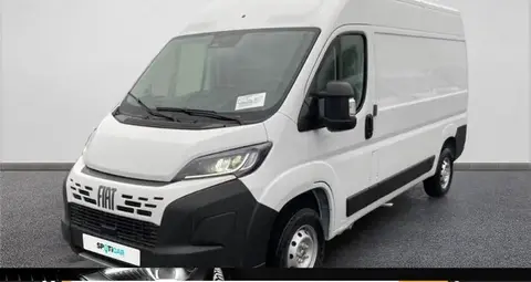 Annonce FIAT DUCATO Diesel 2024 d'occasion 