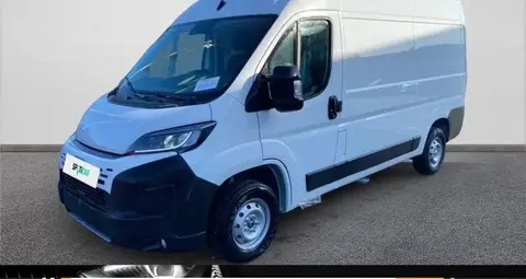 Annonce FIAT DUCATO Diesel 2024 d'occasion 