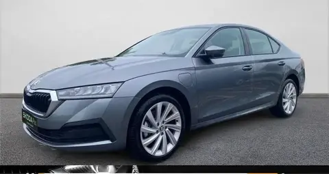 Used SKODA OCTAVIA Hybrid 2024 Ad 