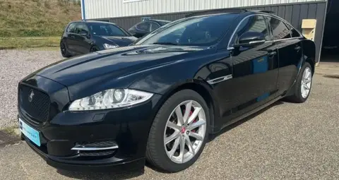 Annonce JAGUAR XJ Diesel 2015 d'occasion 