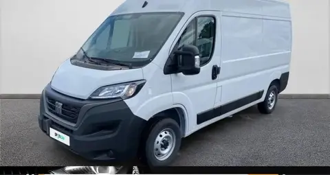 Annonce FIAT DUCATO Diesel 2024 d'occasion 