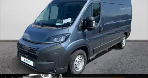 Annonce FIAT DUCATO Non renseigné 2024 d'occasion 