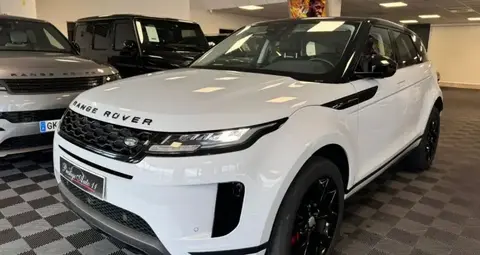 Used LAND ROVER RANGE ROVER EVOQUE Diesel 2020 Ad 