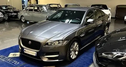 Used JAGUAR XF Diesel 2016 Ad 