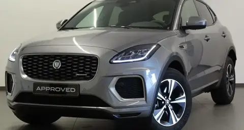 Used JAGUAR E-PACE Diesel 2023 Ad 