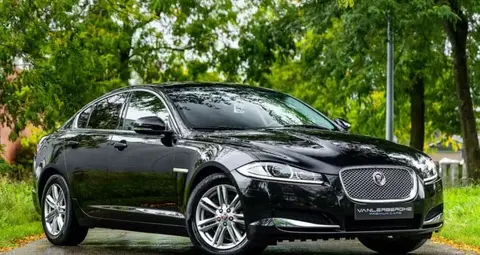 Annonce JAGUAR XF Diesel 2015 d'occasion 