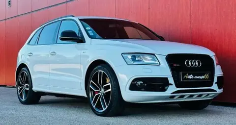 Annonce AUDI SQ5 Diesel 2016 d'occasion 