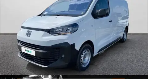 Annonce FIAT SCUDO Non renseigné 2024 d'occasion 