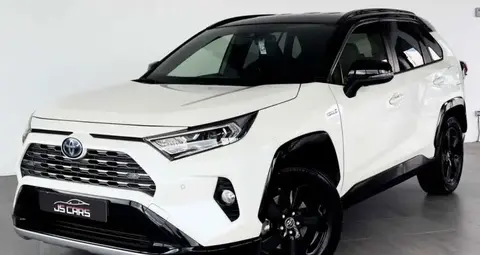 Used TOYOTA RAV4 Hybrid 2019 Ad 