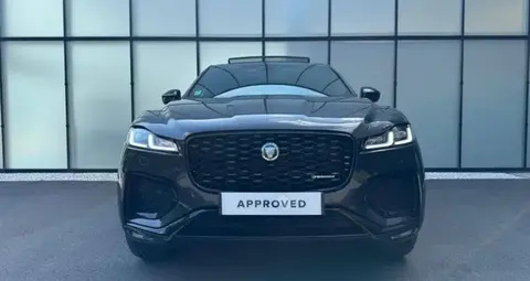 Annonce JAGUAR F-PACE Hybride 2024 d'occasion 