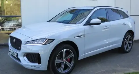 Used JAGUAR F-PACE Diesel 2017 Ad 