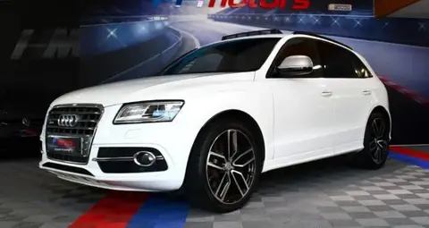 Annonce AUDI SQ5 Diesel 2016 d'occasion 