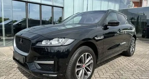 Used JAGUAR F-PACE Diesel 2019 Ad 