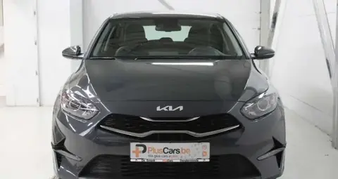 Used KIA CEED Petrol 2022 Ad 