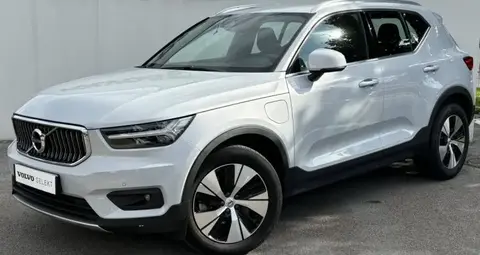 Used VOLVO XC40 Hybrid 2021 Ad 