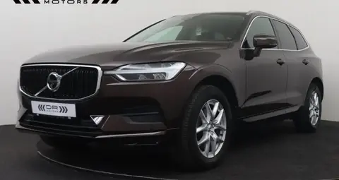 Annonce VOLVO XC60 Diesel 2019 d'occasion 