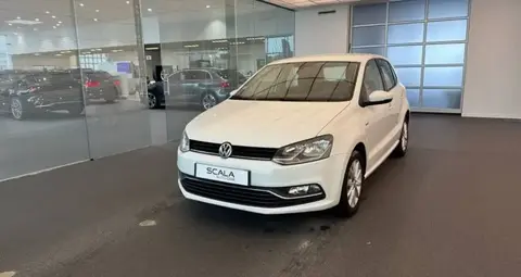 Used VOLKSWAGEN POLO Petrol 2016 Ad 