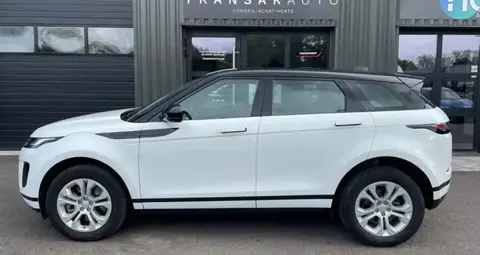 Used LAND ROVER RANGE ROVER EVOQUE Diesel 2020 Ad 