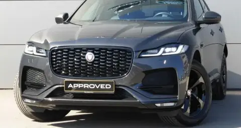 Used JAGUAR F-PACE Diesel 2023 Ad 