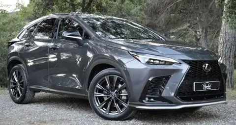 Used LEXUS NX Hybrid 2022 Ad 