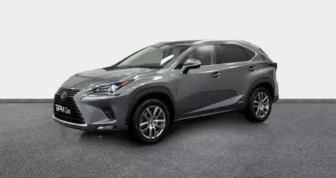 Annonce LEXUS NX Hybride 2020 d'occasion 