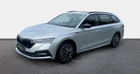 Used SKODA OCTAVIA Petrol 2023 Ad 