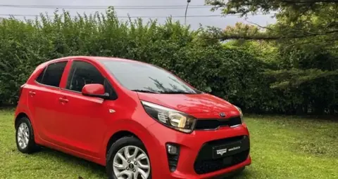 Annonce KIA PICANTO Essence 2017 d'occasion 