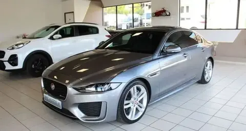 Used JAGUAR XE Diesel 2020 Ad 