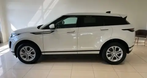 Annonce LAND ROVER RANGE ROVER EVOQUE Diesel 2019 d'occasion 