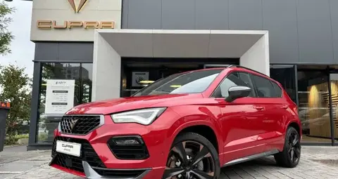 Used CUPRA ATECA Petrol 2023 Ad 