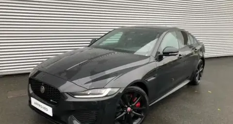 Used JAGUAR XE Not specified 2022 Ad 