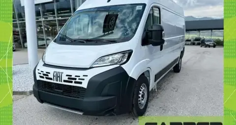 Used FIAT DUCATO Diesel 2024 Ad 