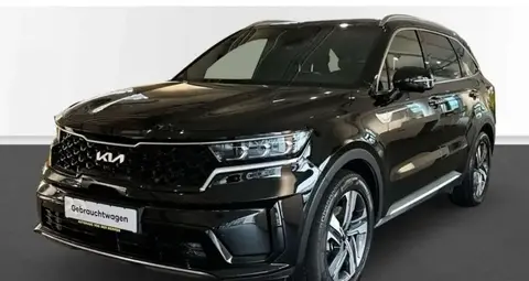 Annonce KIA SORENTO Hybride 2023 d'occasion 