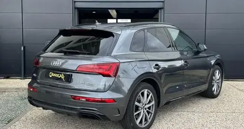 Used AUDI Q5 Hybrid 2021 Ad 