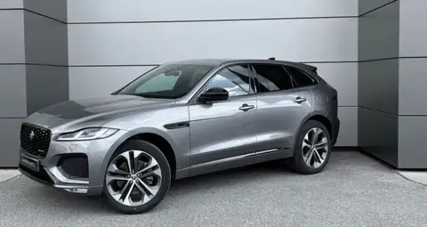 Used JAGUAR F-PACE Hybrid 2023 Ad 