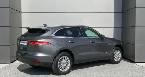 Used JAGUAR F-PACE Diesel 2018 Ad 