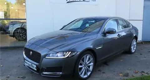 Annonce JAGUAR XF Diesel 2018 d'occasion 