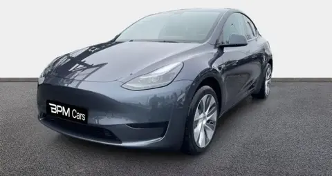 Used TESLA MODEL Y Electric 2023 Ad 