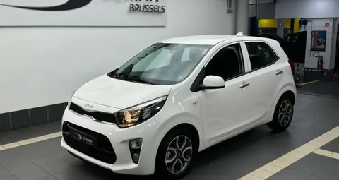 Used KIA PICANTO Petrol 2024 Ad 