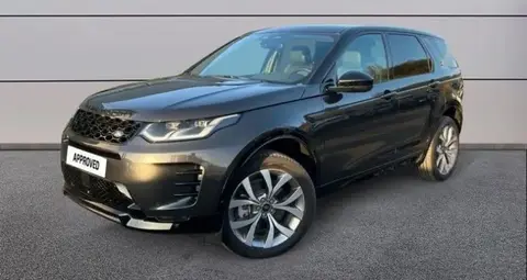 Used LAND ROVER DISCOVERY Hybrid 2024 Ad 