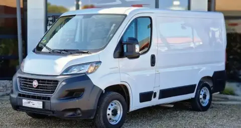 Annonce FIAT DUCATO Diesel 2021 d'occasion 