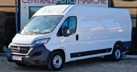 Annonce FIAT DUCATO Diesel 2021 d'occasion 