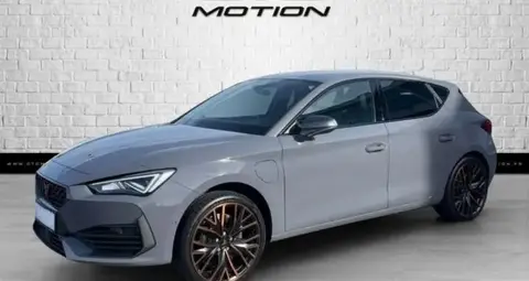 Annonce CUPRA LEON Hybride 2024 d'occasion 