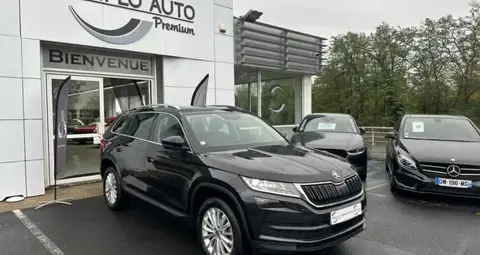 Annonce SKODA KODIAQ Diesel 2019 d'occasion 