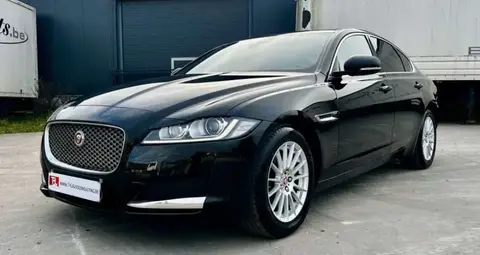 Used JAGUAR XF Diesel 2020 Ad 