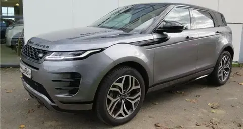 Used LAND ROVER RANGE ROVER EVOQUE Hybrid 2021 Ad 