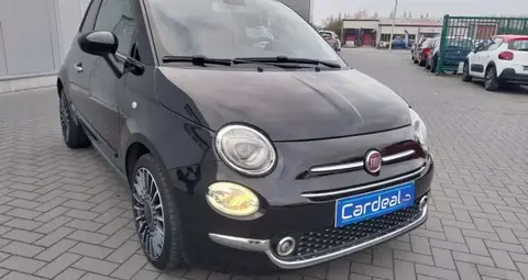 Used FIAT 500 Petrol 2019 Ad 