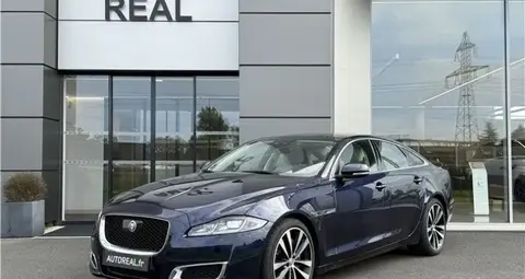 Used JAGUAR XJ Diesel 2019 Ad 