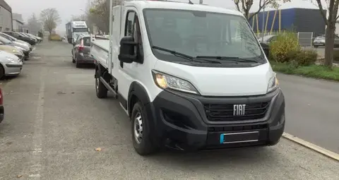 Used FIAT DUCATO Diesel 2024 Ad 